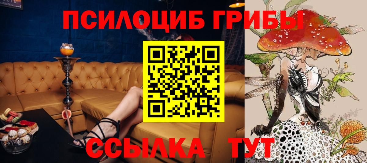 Галлюциногенные грибы MAGIC MUSHROOMS  Вход с VPN  Севастополь  Псилоцибиновые грибы Magic Shrooms 